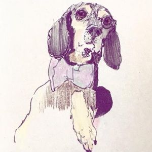 Meet your Posher, Steve